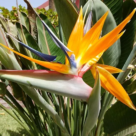 Ecuador Appartement Playa del Inglés