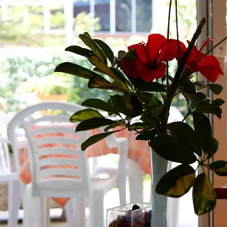 Ecuador Playa del Inglés