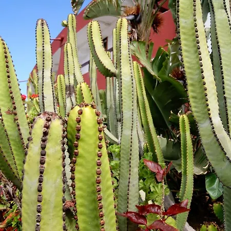 Ecuador * Плайя-дель-Інглес