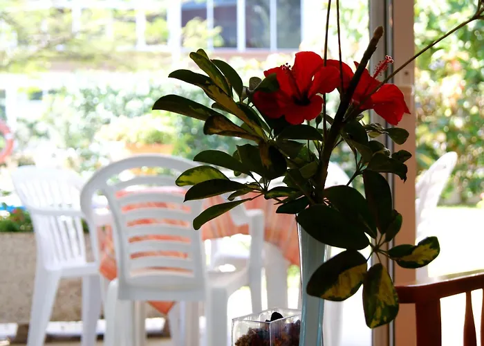 Ecuador Πλάγια ντελ Ινγκλές