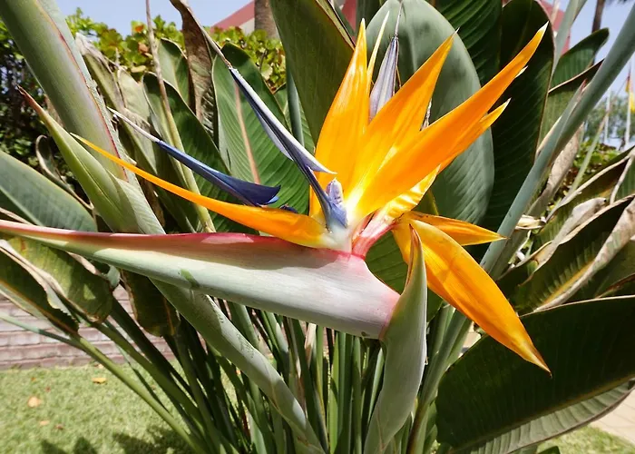 Ecuador Διαμέρισμα Πλάγια ντελ Ινγκλές